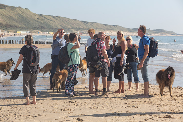 Wandeling Zoutelanden